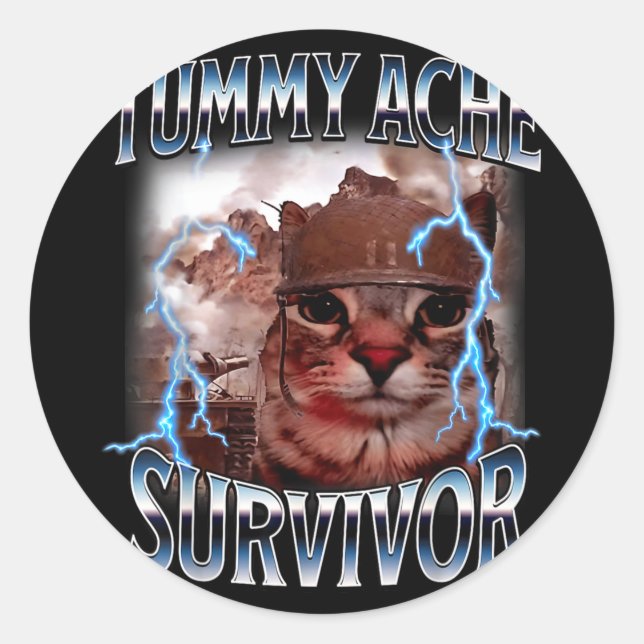 Tummy ache survivor funny cat meme survived today' classic round sticker (Front)