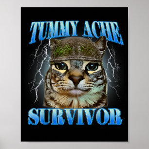 Tummy Ache Survivor Silly Cat Meme Funny Saying Poster