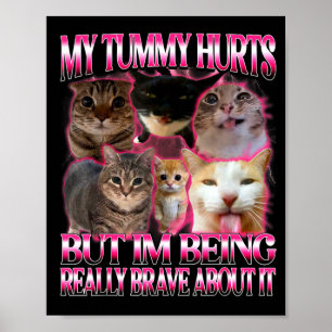 Tummy hurts funny brainrot stupid dank cats meme poster