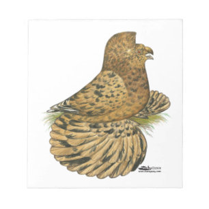 Tumpeter Pigeon Almond Notepad