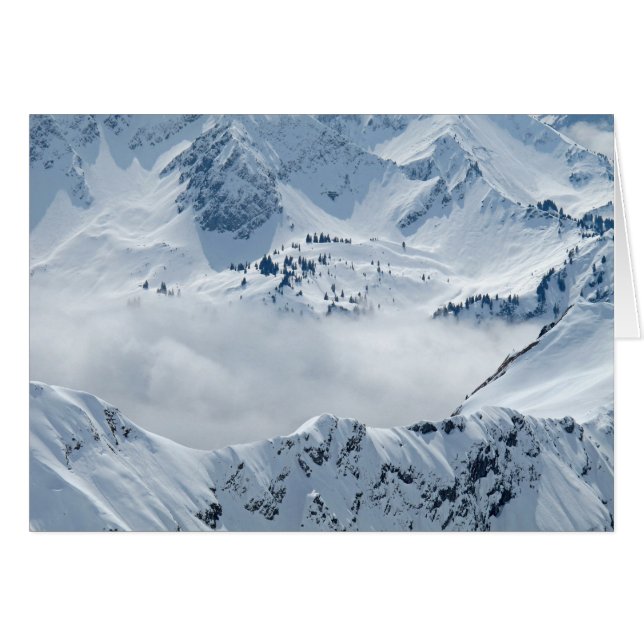 Tundra (Front Horizontal)