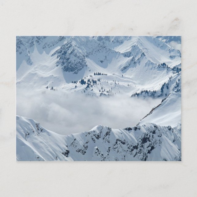 Tundra Postcard (Front)