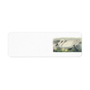 Tundra Swan by Audubon Return Address Label