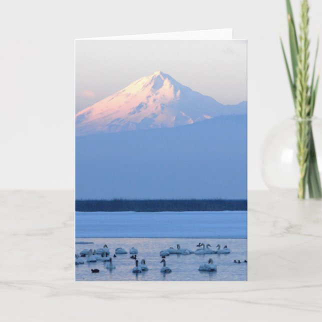 Tundra Swans and Mount Shasta Card (Front)