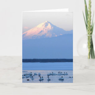 Tundra Swans and Mount Shasta Card
