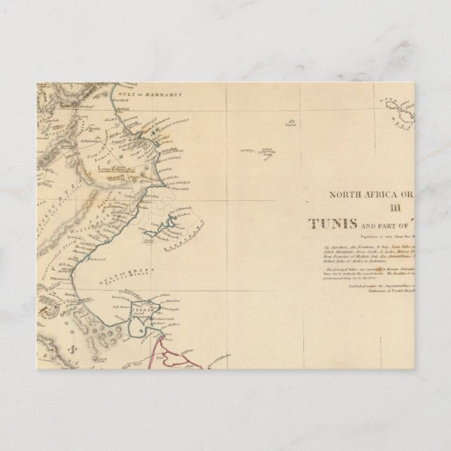 Tunis, Tripoli Postcard (Front)