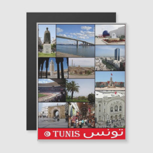 Tunisi - Mosaic - Tunisia -