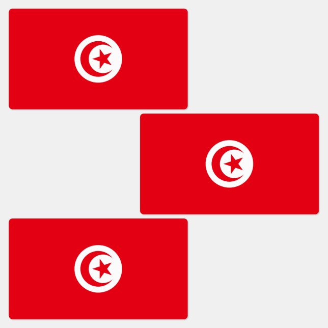 Tunisia Flag (Group)