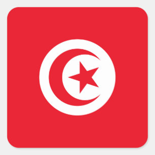 Tunisia Flag Square Sticker