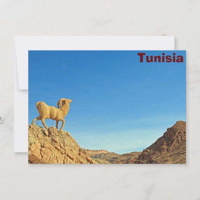Tunisia goat statue Card (Front)