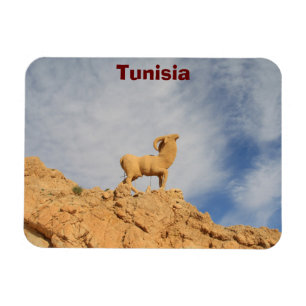 Tunisia goat statue magnet