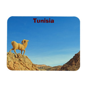 Tunisia goat statue magnet