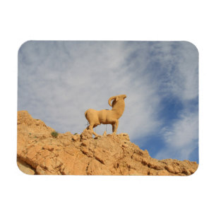 Tunisia goat statue magnet