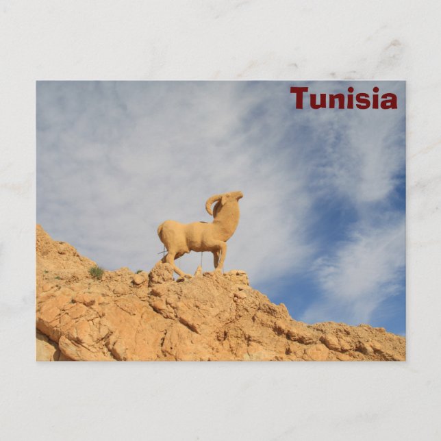 Tunisia goat statue postcard (Front)