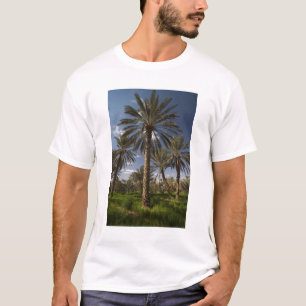 Tunisia, Ksour Area, Ksar Ghilane, date palm 2 T-Shirt