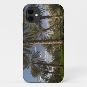 Tunisia, Ksour Area, Ksar Ghilane, date palm iPhone 11 Case