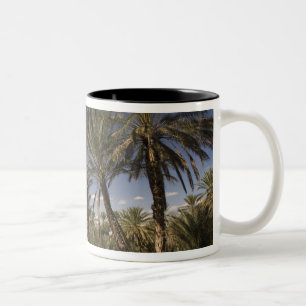 Tunisia, Ksour Area, Ksar Ghilane, date palm Two-Tone Coffee Mug