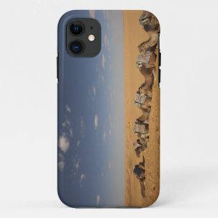 Tunisia, Ksour Area, Ksar Ghilane, Grand Erg 2 iPhone 11 Case
