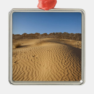 Tunisia, Ksour Area, Ksar Ghilane, Grand Erg 2 Metal Tree Decoration