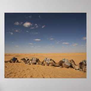 Tunisia, Ksour Area, Ksar Ghilane, Grand Erg 2 Poster