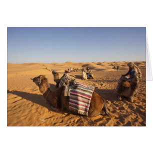 Tunisia, Ksour Area, Ksar Ghilane, Grand Erg 3
