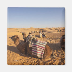 Tunisia, Ksour Area, Ksar Ghilane, Grand Erg 3 Magnet