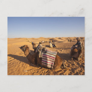 Tunisia, Ksour Area, Ksar Ghilane, Grand Erg 3 Postcard