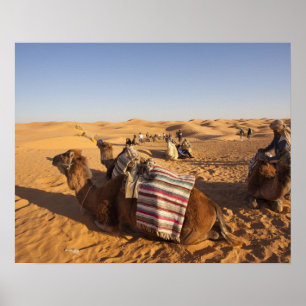 Tunisia, Ksour Area, Ksar Ghilane, Grand Erg 3 Poster