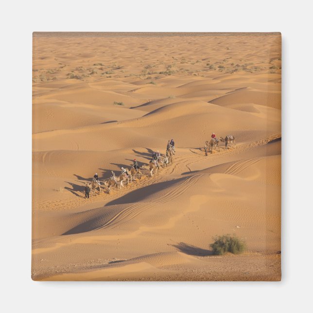 Tunisia, Ksour Area, Ksar Ghilane, Grand Erg 4 Magnet (Front)