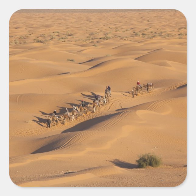 Tunisia, Ksour Area, Ksar Ghilane, Grand Erg 4 Square Sticker (Front)