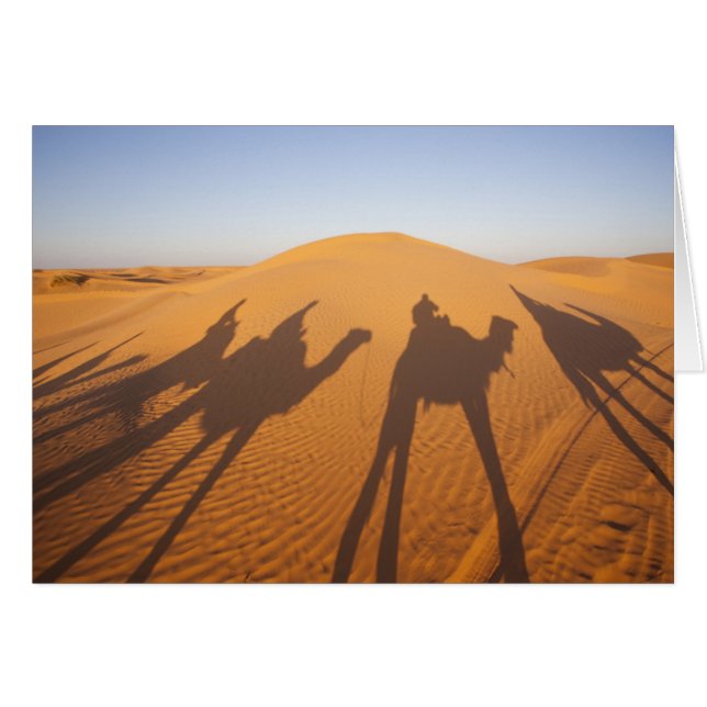 Tunisia, Ksour Area, Ksar Ghilane, Grand Erg 5 (Front Horizontal)