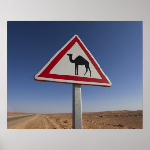 Tunisia, Ksour Area, Ksar Ghilane, Grand Erg 6 Poster