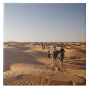 Tunisia, Ksour Area, Ksar Ghilane, Grand Erg 7 Tile