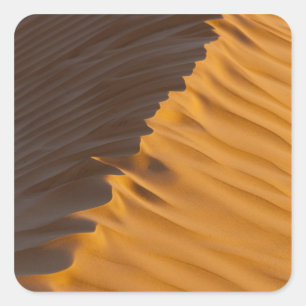 Tunisia, Ksour Area, Ksar Ghilane, Grand Erg Square Sticker