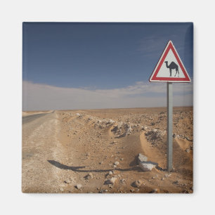 Tunisia, Ksour Area, Ksar Ghilane, Oil Pipeline Magnet