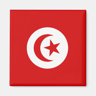 Tunisia Magnet