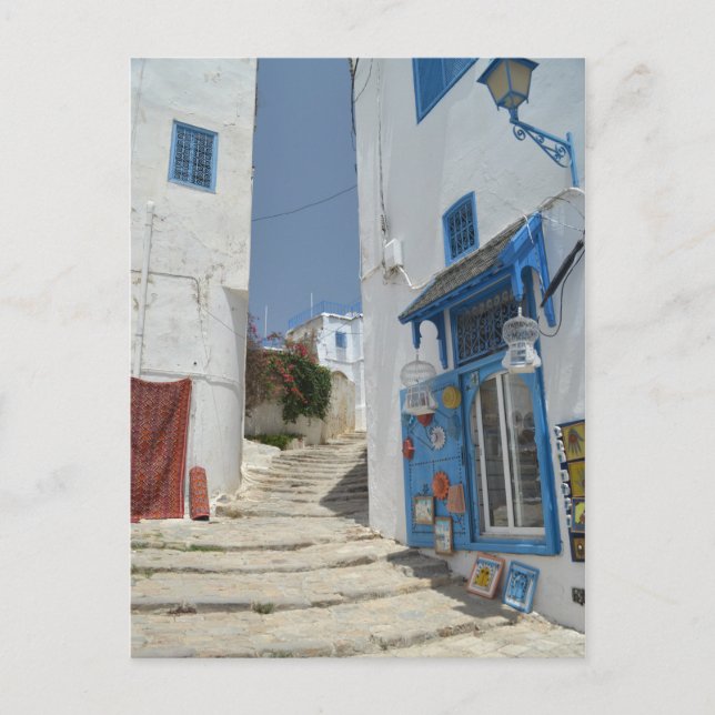 Tunisia Postcard (Front)