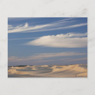 Tunisia, Sahara Desert, Douz, Great Dune, dusk 2 Postcard