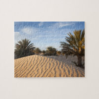 Tunisia, Sahara Desert, Douz, Great Dune, palm 2