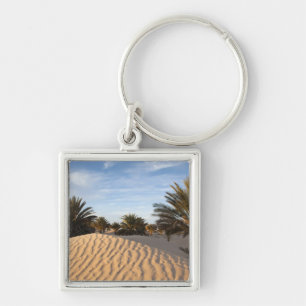 Tunisia, Sahara Desert, Douz, Great Dune, palm 2 Key Ring