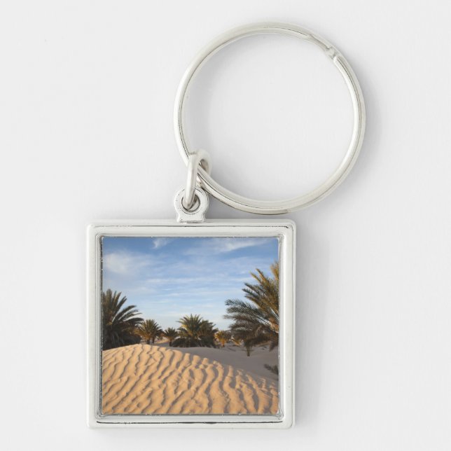 Tunisia, Sahara Desert, Douz, Great Dune, palm 2 Key Ring (Front)