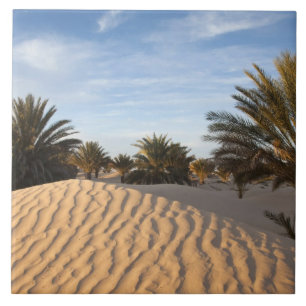 Tunisia, Sahara Desert, Douz, Great Dune, palm 2 Tile