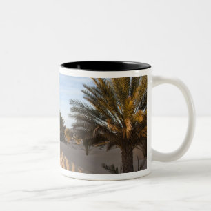 Tunisia, Sahara Desert, Douz, Great Dune, palm 2 Two-Tone Coffee Mug
