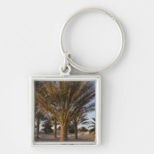 Tunisia, Sahara Desert, Douz, Great Dune, palm Key Ring