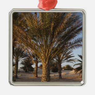 Tunisia, Sahara Desert, Douz, Great Dune, palm Metal Ornament