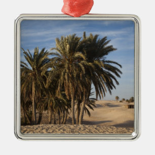 Tunisia, Sahara Desert, Douz, Great Dune, palm Metal Ornament