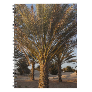 Tunisia, Sahara Desert, Douz, Great Dune, palm Notebook