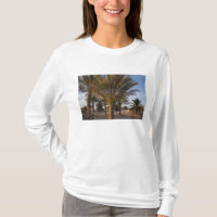 Tunisia, Sahara Desert, Douz, Great Dune, palm