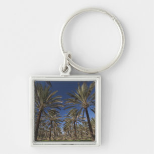 Tunisia, Sahara Desert, Douz, Zone Touristique, 2 Key Ring