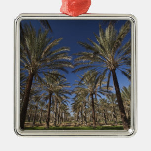 Tunisia, Sahara Desert, Douz, Zone Touristique, 2 Metal Ornament